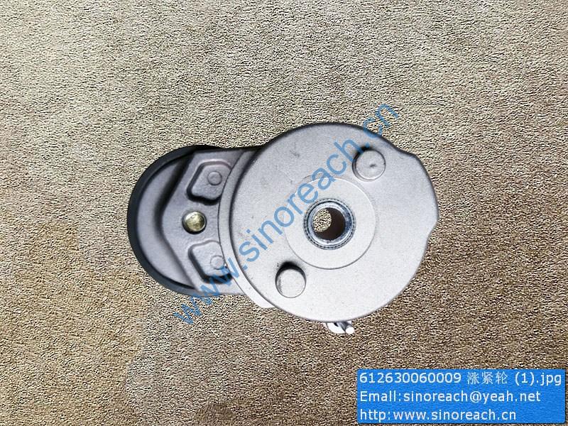612630060009 涨紧轮 (1)
