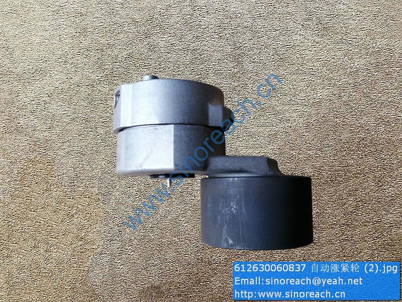 612630060837 自动涨紧轮 (2)