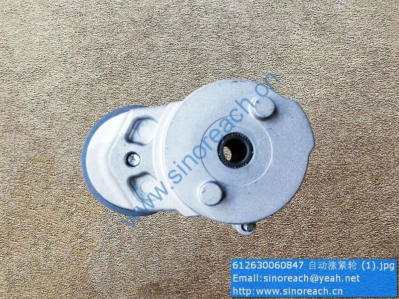 612630060847 自动涨紧轮 (1)