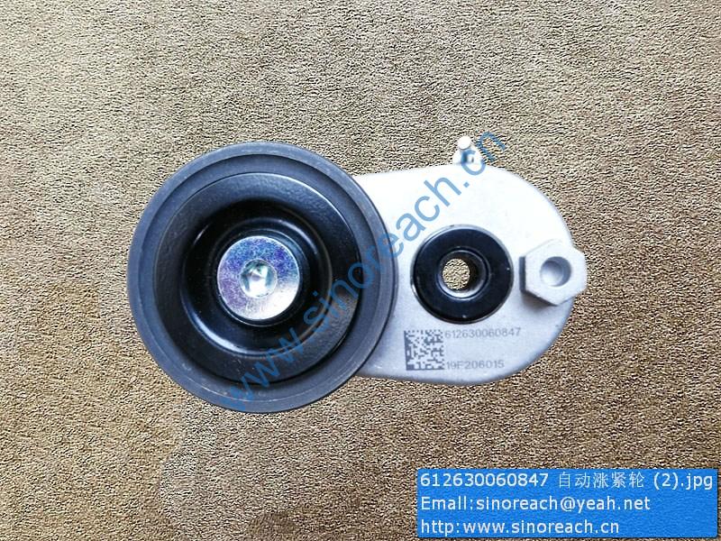 612630060847 自动涨紧轮 (2)