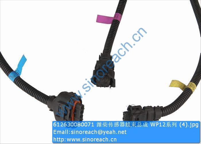 612630080071 潍柴传感器线束总成 WP12系列 (4)