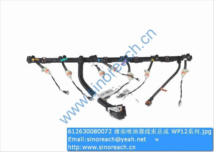 612630080072 潍柴喷油器线束总成 WP12系列