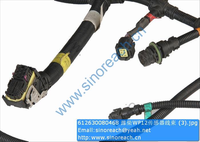 612630080468 潍柴WP12传感器线束 (3)