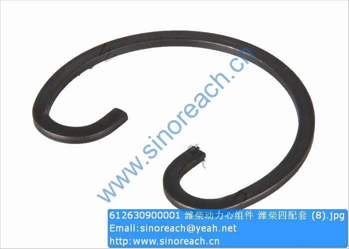 612630900001 潍柴动力心组件 潍柴四配套 (8)