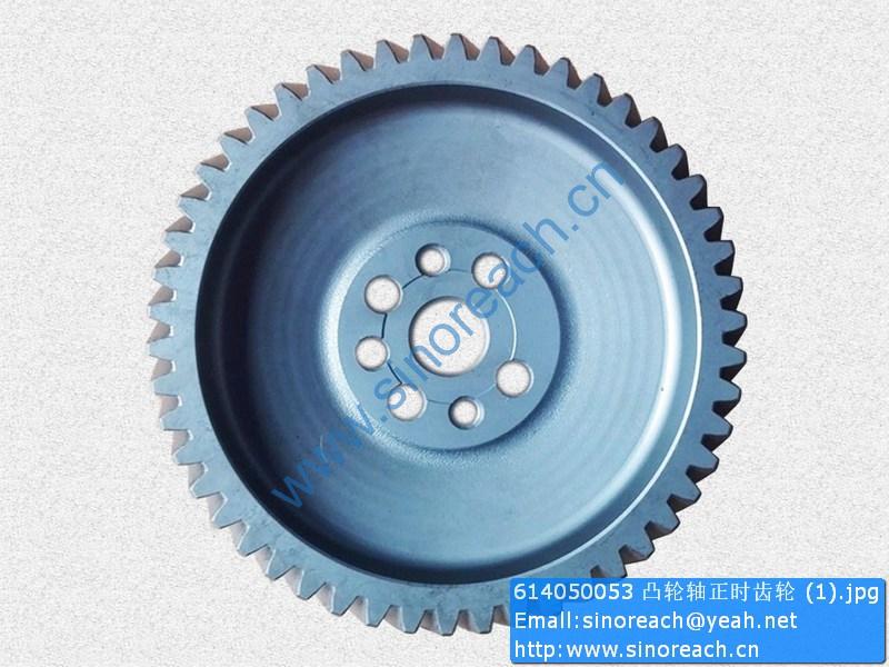 614050053 凸轮轴正时齿轮 (1)