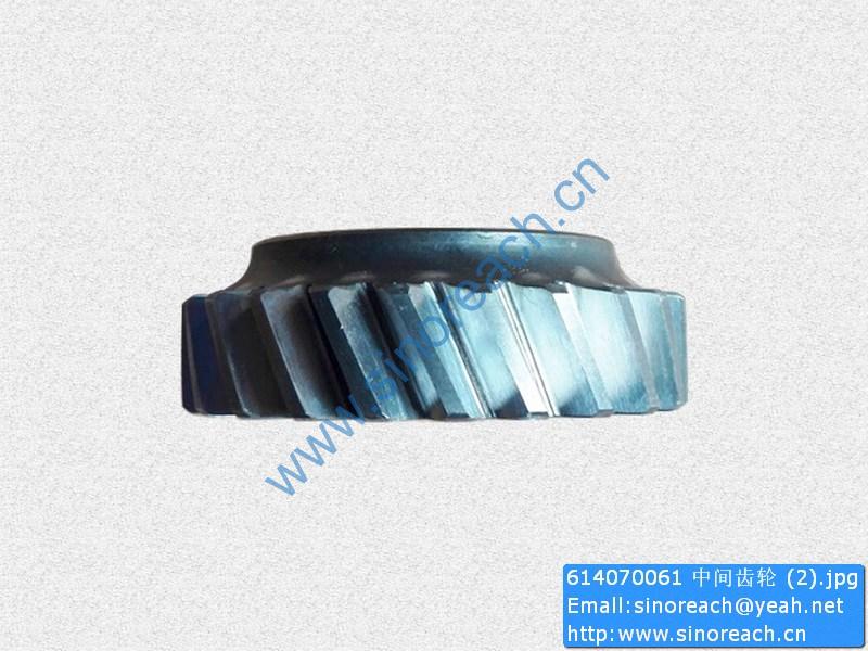 614070061 中间齿轮 (2)