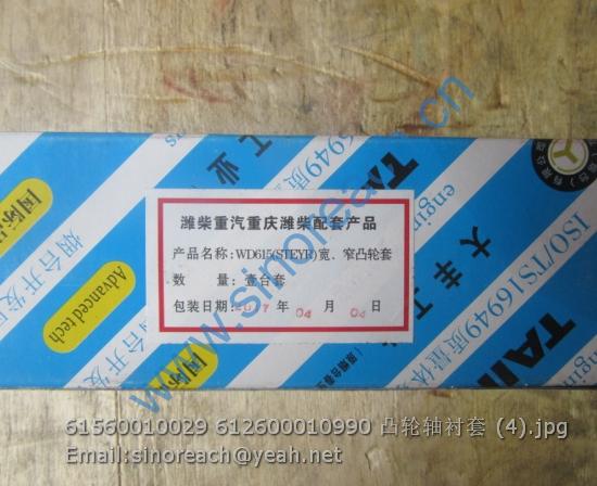 61560010029 612600010990 凸轮轴衬套 (4)