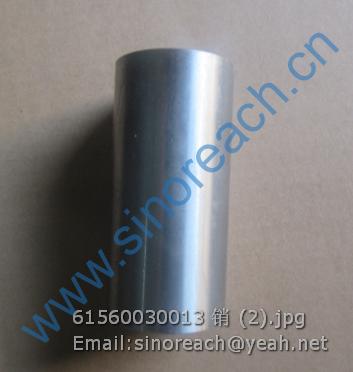 61560030013 销 (2)