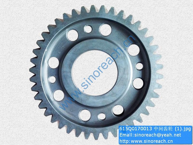 615Q0170013 中间齿轮 (1)