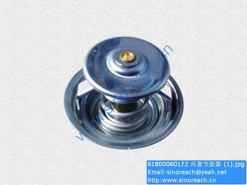61800060172 内置节温器 (1)