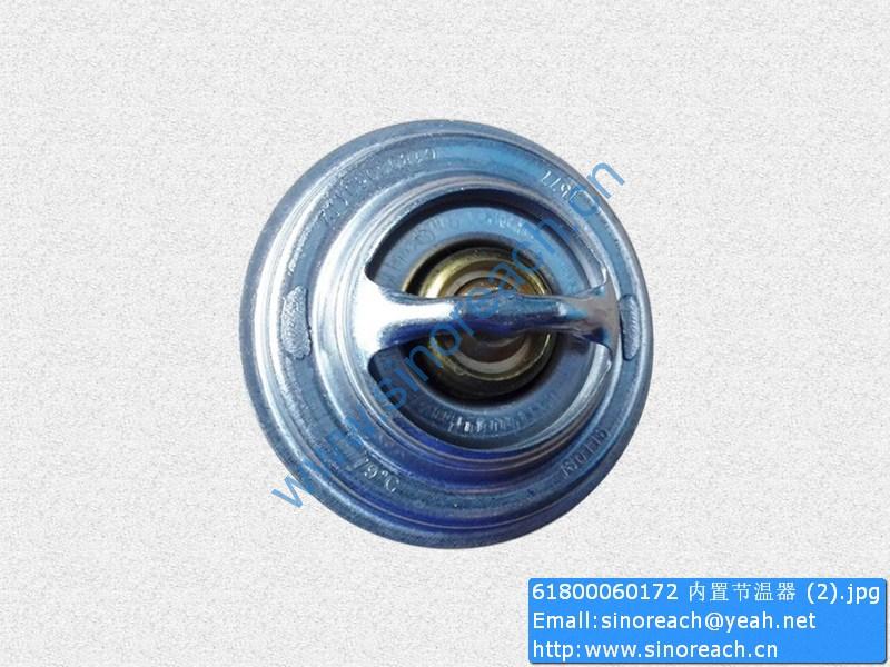 61800060172 内置节温器 (2)