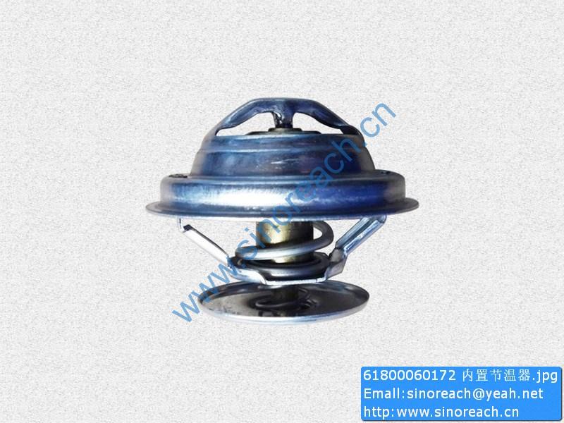 61800060172 内置节温器