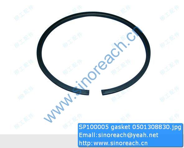 SP100005 gasket 0501308830