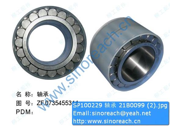SP100229 轴承 21B0099 (2)