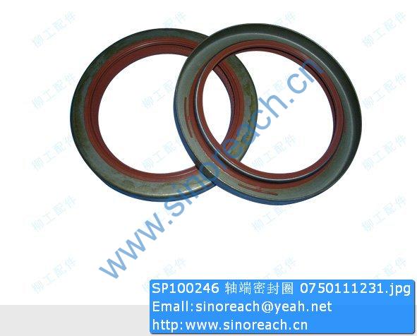 SP100246 轴端密封圈 0750111231