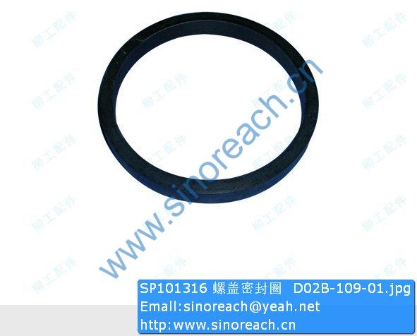 SP101316 螺盖密封圈 D02B-109-01