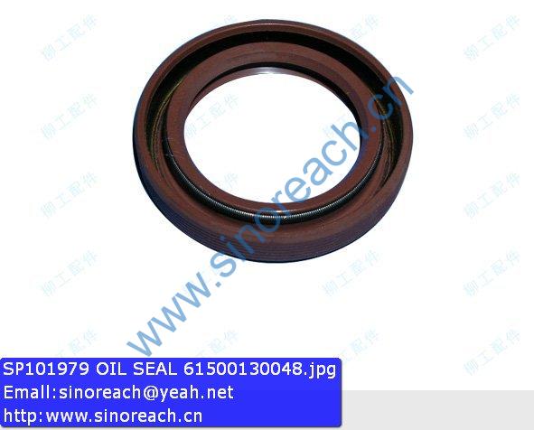 SP101979 OIL SEAL 61500130048