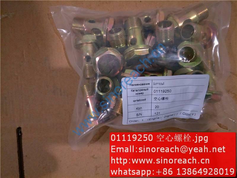 01119250 空心螺栓