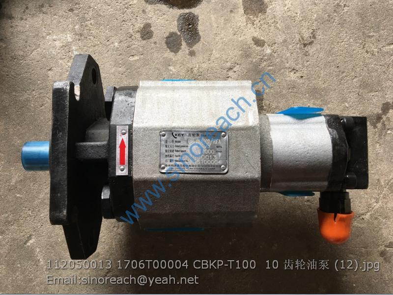 112050013 1706T00004 CBKP-T100 10 齿轮油泵 (12)