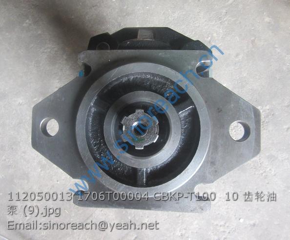 112050013 1706T00004 CBKP-T100 10 齿轮油泵 (9)