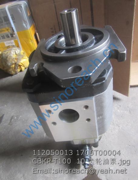 112050013 1706T00004 CBKP-T100 10 齿轮油泵