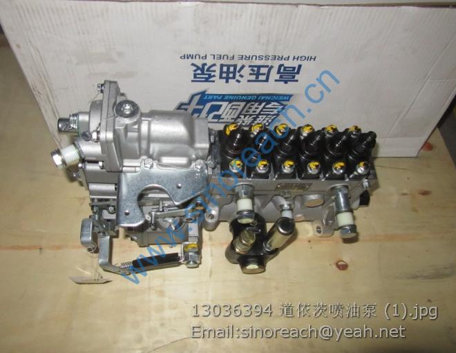 13036394 道依茨喷油泵 (1)