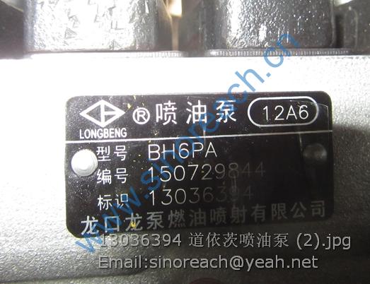 13036394 道依茨喷油泵 (2)