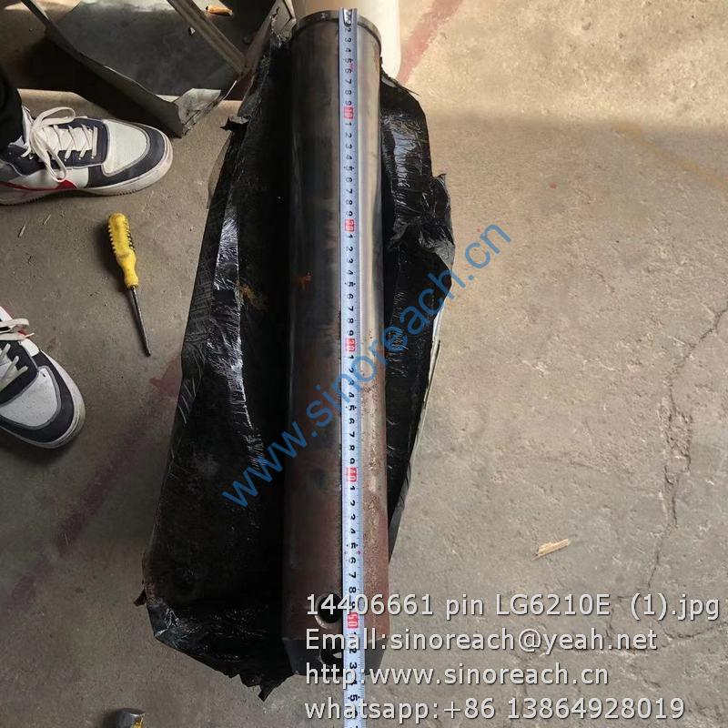 14406661 pin LG6210E (1)