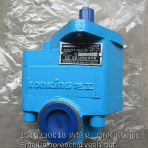 1510230018 Gear pump LGCBF040