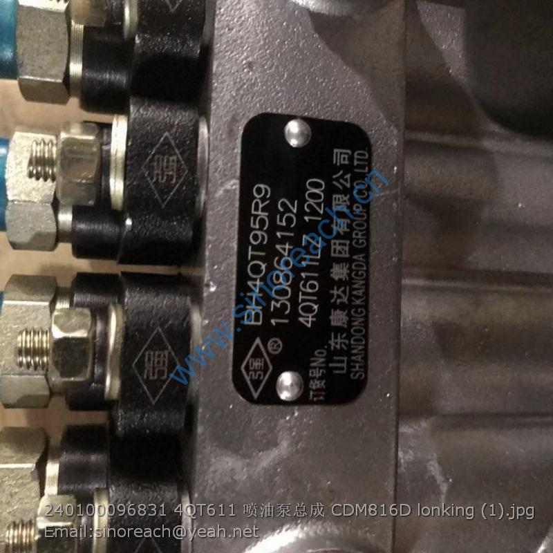 240100096831 4QT611 喷油泵总成 CDM816D lonking (1)