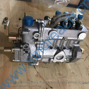 240100096831 4QT611 fuel injection pump assembly CDM816D lonking