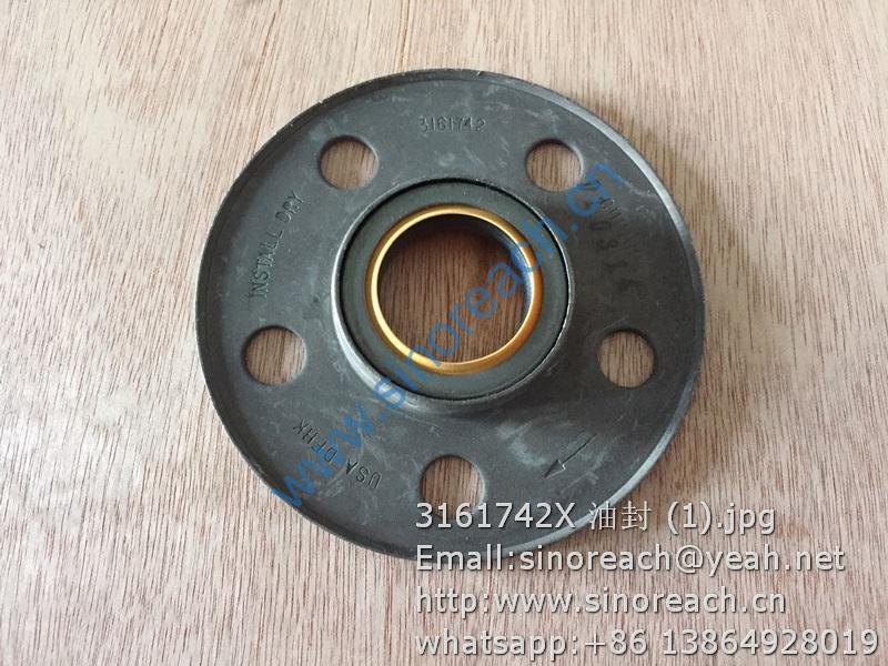 3161742X 油封 (1)