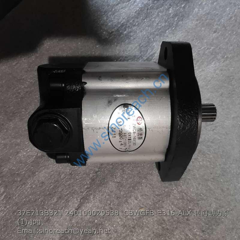37E713B321 240100029538 CBWGFB-E316-ALX 转向助力泵 (1)