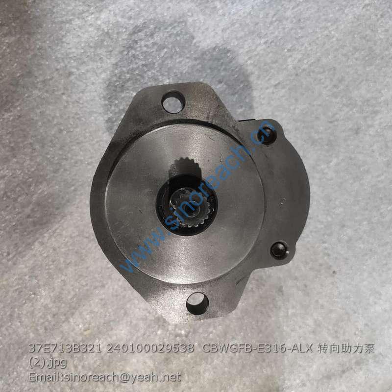 37E713B321 240100029538 CBWGFB-E316-ALX 转向助力泵 (2)