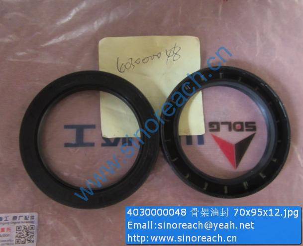 4030000048 骨架油封 70x95x12