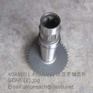 40A0001 403610B Variable speed pump shaft gear