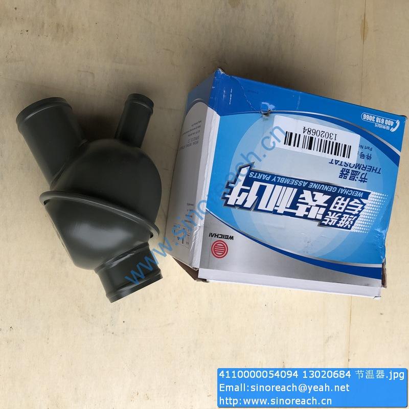 4110000054094 13020684 节温器