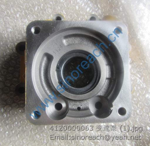 4120000063 变速泵 (1)