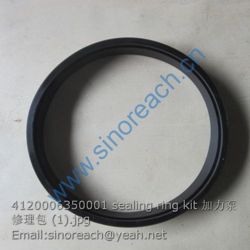 4120006350001 sealing ring kit 加力泵修理包 (1)