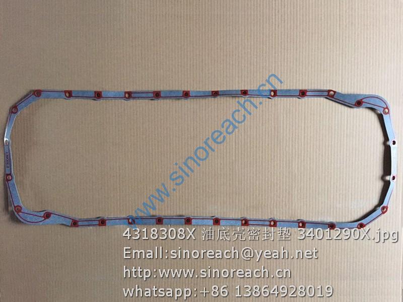 4318308X 油底壳密封垫 3401290X