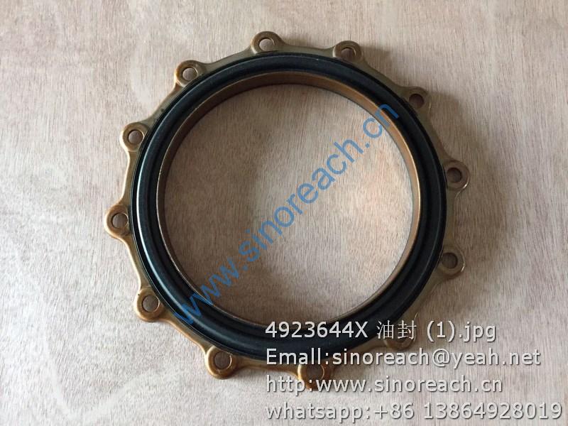 4923644X 油封 (1)
