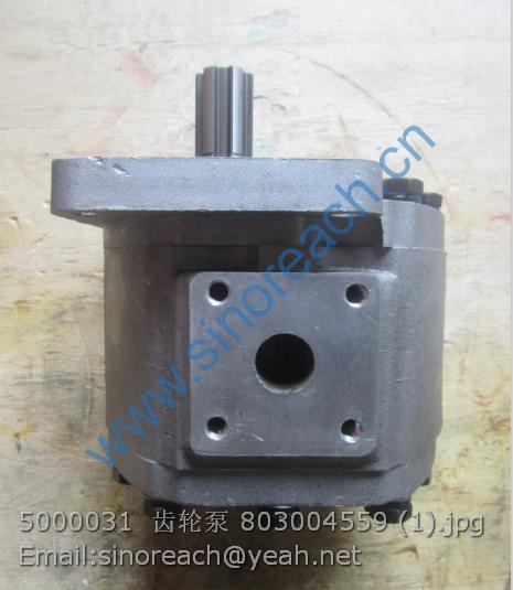 5000031 齿轮泵 803004559 (1)