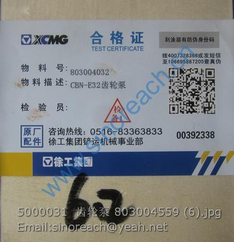 5000031 齿轮泵 803004559 (6)