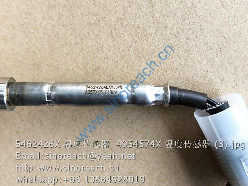 5462426X 温度传感器 4954574X 温度传感器 (3)