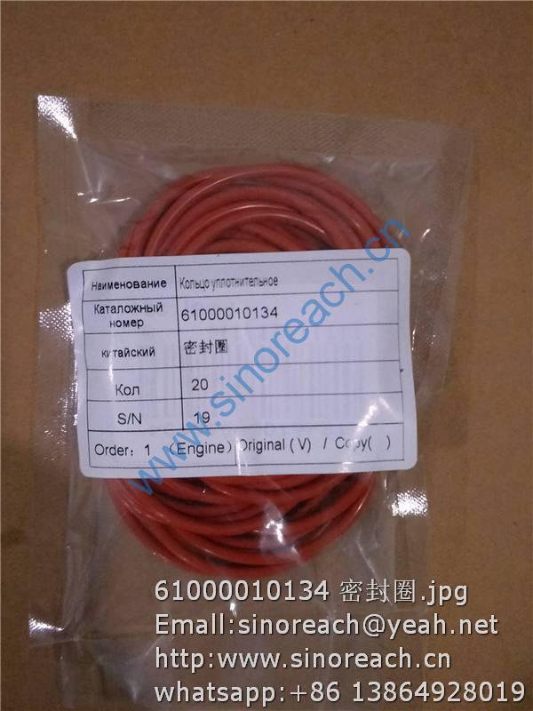 61000010134 密封圈