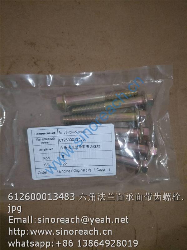 612600013483 六角法兰面承面带齿螺栓