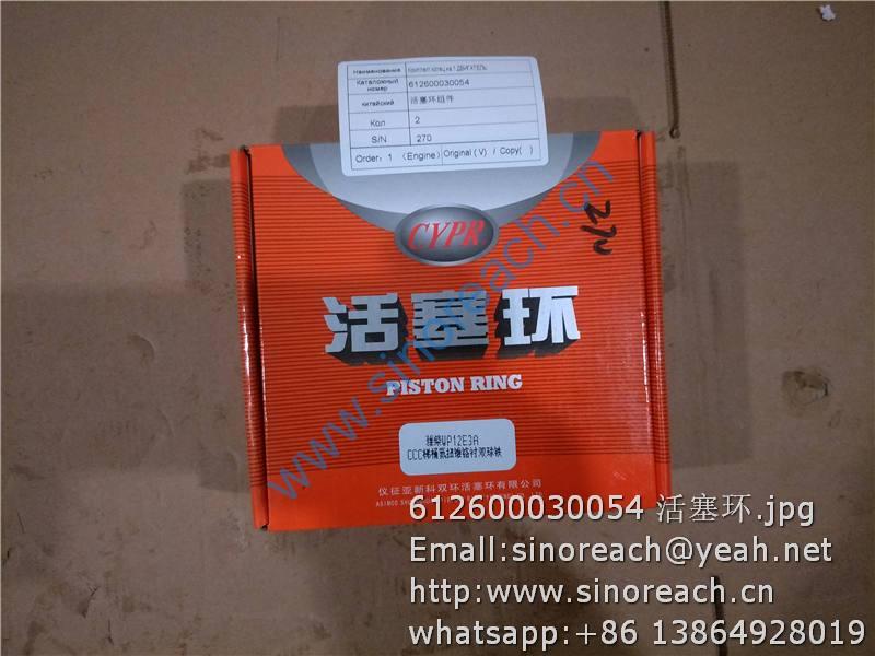 612600030054 活塞环