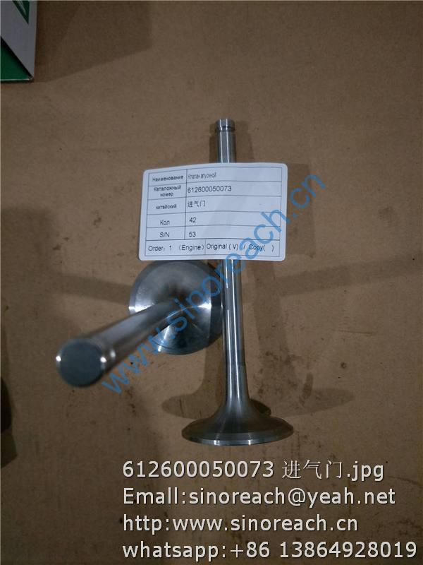 612600050073 进气门