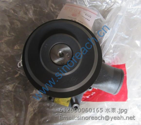 612600060165 水泵