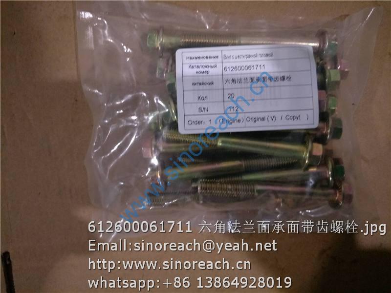 612600061711 六角法兰面承面带齿螺栓